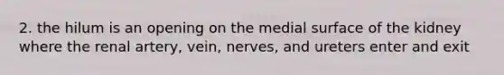 2. the hilum is an opening on the medial surface of the kidney where the renal artery, vein, nerves, and ureters enter and exit