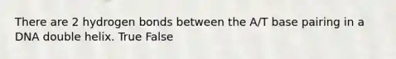 There are 2 hydrogen bonds between the A/T base pairing in a DNA double helix. True False