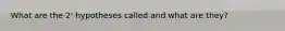 What are the 2' hypotheses called and what are they?