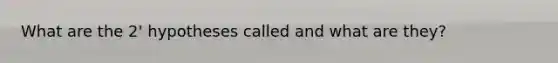 What are the 2' hypotheses called and what are they?
