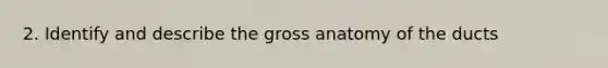 2. Identify and describe the gross anatomy of the ducts