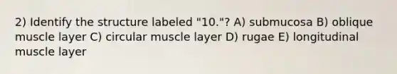 2) Identify the structure labeled "10."? A) submucosa B) oblique muscle layer C) circular muscle layer D) rugae E) longitudinal muscle layer