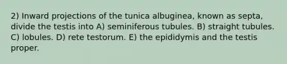 2) Inward projections of the tunica albuginea, known as septa, divide the testis into A) seminiferous tubules. B) straight tubules. C) lobules. D) rete testorum. E) the epididymis and the testis proper.