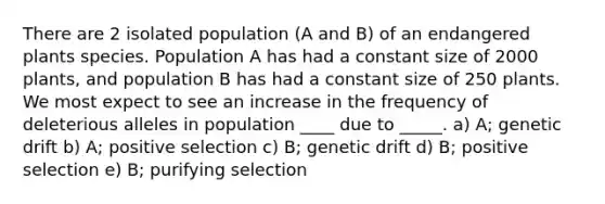 There are 2 isolated population (A and B) of an endangered plants species. Population A has had a constant size of 2000 plants, and population B has had a constant size of 250 plants. We most expect to see an increase in the frequency of deleterious alleles in population ____ due to _____. a) A; genetic drift b) A; positive selection c) B; genetic drift d) B; positive selection e) B; purifying selection