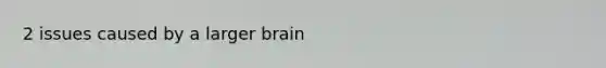 2 issues caused by a larger brain