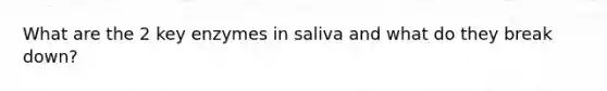 What are the 2 key enzymes in saliva and what do they break down?