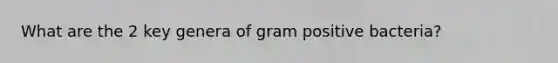 What are the 2 key genera of gram positive bacteria?