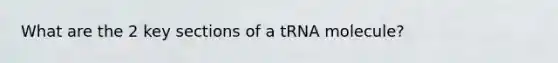 What are the 2 key sections of a tRNA molecule?