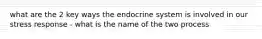 what are the 2 key ways the endocrine system is involved in our stress response - what is the name of the two process