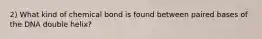 2) What kind of chemical bond is found between paired bases of the DNA double helix?