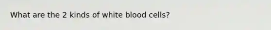 What are the 2 kinds of white blood cells?