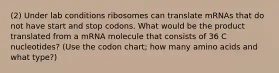 (2) Under lab conditions ribosomes can translate mRNAs that do not have start and stop codons. What would be the product translated from a mRNA molecule that consists of 36 C nucleotides? (Use the codon chart; how many amino acids and what type?)