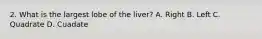 2. What is the largest lobe of the liver? A. Right B. Left C. Quadrate D. Cuadate