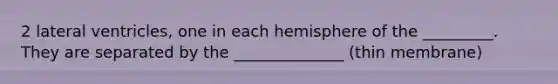 2 lateral ventricles, one in each hemisphere of the _________. They are separated by the ______________ (thin membrane)