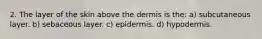 2. The layer of the skin above the dermis is the: a) subcutaneous layer. b) sebaceous layer. c) epidermis. d) hypodermis.