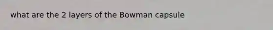 what are the 2 layers of the Bowman capsule