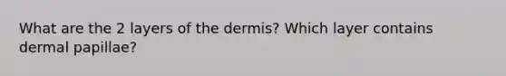 What are the 2 layers of the dermis? Which layer contains dermal papillae?