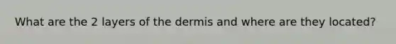 What are the 2 layers of the dermis and where are they located?