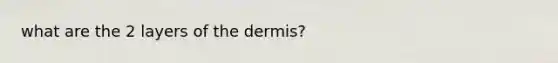 what are the 2 layers of the dermis?