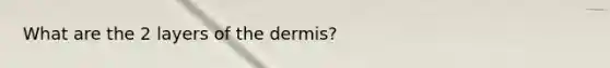 What are the 2 layers of <a href='https://www.questionai.com/knowledge/kEsXbG6AwS-the-dermis' class='anchor-knowledge'>the dermis</a>?