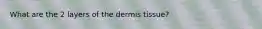 What are the 2 layers of the dermis tissue?