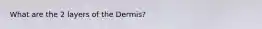 What are the 2 layers of the Dermis?