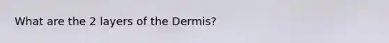 What are the 2 layers of the Dermis?