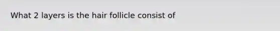 What 2 layers is the hair follicle consist of