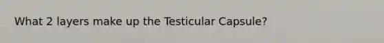 What 2 layers make up the Testicular Capsule?