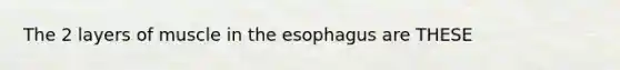 The 2 layers of muscle in the esophagus are THESE