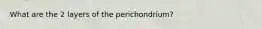 What are the 2 layers of the perichondrium?