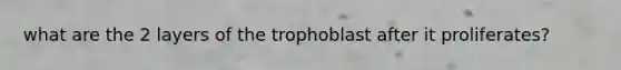 what are the 2 layers of the trophoblast after it proliferates?