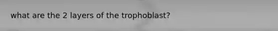 what are the 2 layers of the trophoblast?