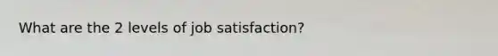 What are the 2 levels of job satisfaction?