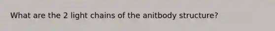 What are the 2 light chains of the anitbody structure?