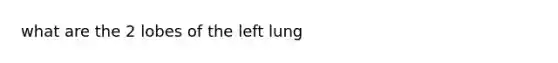 what are the 2 lobes of the left lung