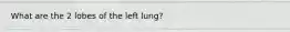 What are the 2 lobes of the left lung?