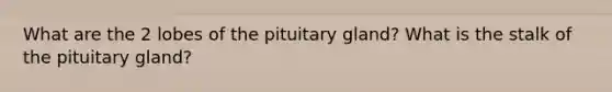 What are the 2 lobes of the pituitary gland? What is the stalk of the pituitary gland?