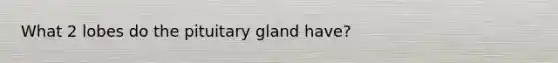 What 2 lobes do the pituitary gland have?