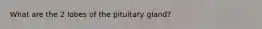 What are the 2 lobes of the pituitary gland?