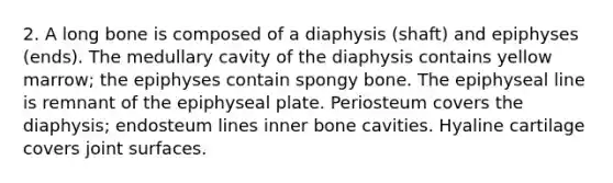 2. A long bone is composed of a diaphysis (shaft) and epiphyses (ends). The medullary cavity of the diaphysis contains yellow marrow; the epiphyses contain spongy bone. The epiphyseal line is remnant of the epiphyseal plate. Periosteum covers the diaphysis; endosteum lines inner bone cavities. Hyaline cartilage covers joint surfaces.