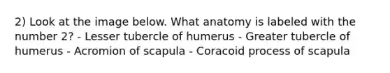 2) Look at the image below. What anatomy is labeled with the number 2? - Lesser tubercle of humerus - Greater tubercle of humerus - Acromion of scapula - Coracoid process of scapula