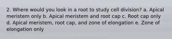 2. Where would you look in a root to study cell division? a. Apical meristem only b. Apical meristem and root cap c. Root cap only d. Apical meristem, root cap, and zone of elongation e. Zone of elongation only