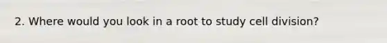 2. Where would you look in a root to study cell division?