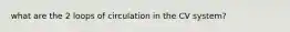 what are the 2 loops of circulation in the CV system?