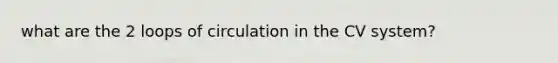 what are the 2 loops of circulation in the CV system?