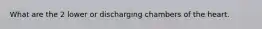 What are the 2 lower or discharging chambers of the heart.