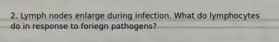 2. Lymph nodes enlarge during infection. What do lymphocytes do in response to foriegn pathogens?