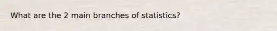 What are the 2 main branches of statistics?