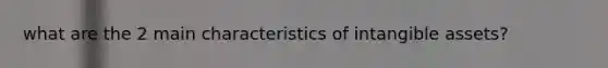 what are the 2 main characteristics of <a href='https://www.questionai.com/knowledge/kfaeAOzavC-intangible-assets' class='anchor-knowledge'>intangible assets</a>?